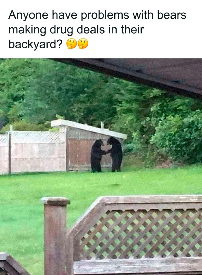 Yo Man, You Got The Honey?