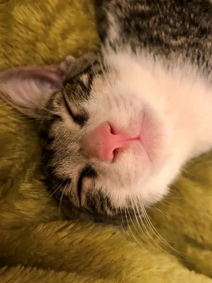 Emerson Sleepy Baby