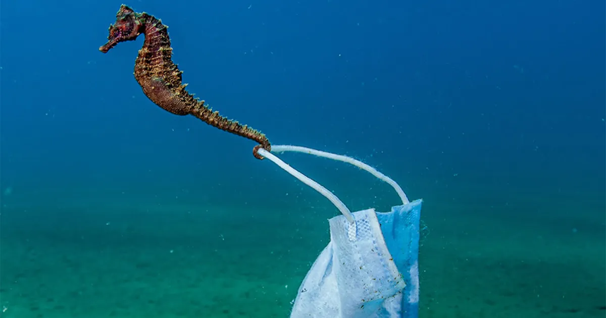 Los premios Ocean Photography de 2021 han anunciado sus finalistas (26 imágenes)