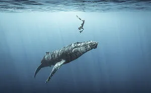 The Ocean Photography Awards 2021 Announced Their Finalists (30 Pics)