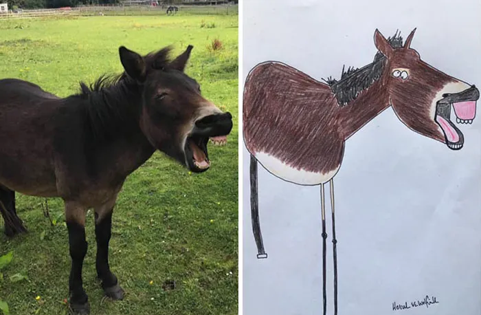 30 Animal Portraits Drawn So Badly, They Look Like Masterpieces