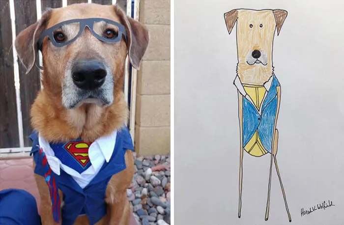 30 Animal Portraits Drawn So Badly, They Look Like Masterpieces