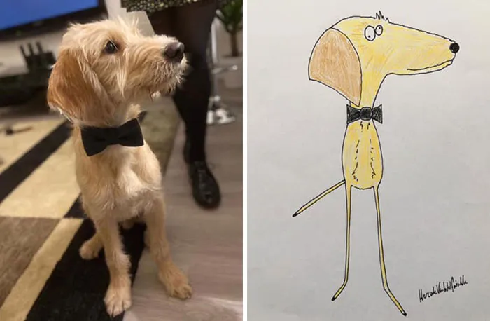 30 Animal Portraits Drawn So Badly, They Look Like Masterpieces