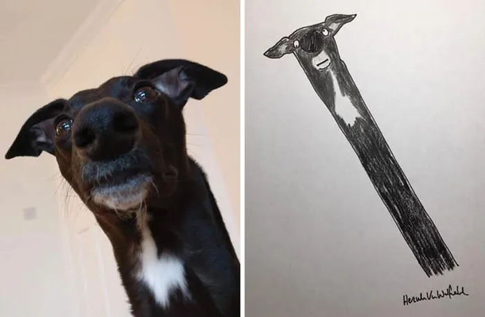 30 Animal Portraits Drawn So Badly, They Look Like Masterpieces