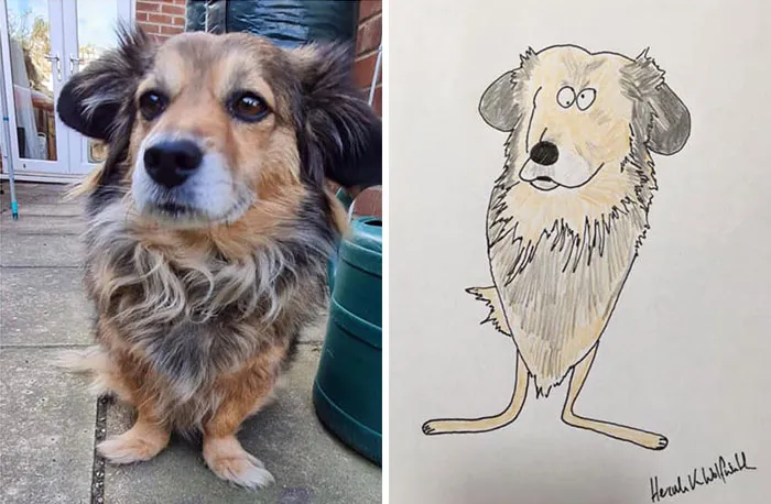 30 Animal Portraits Drawn So Badly, They Look Like Masterpieces