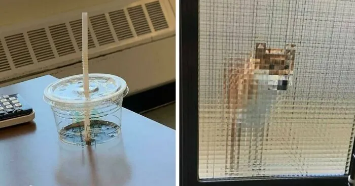 50 Times Real-Life Looked Like It Didn't Render Properly