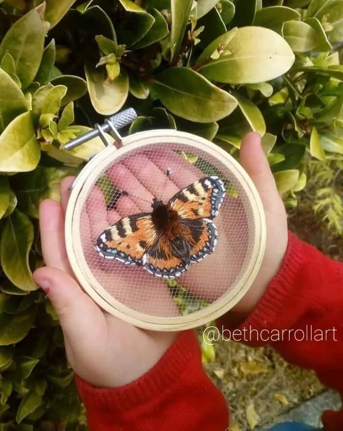 Small Tortoiseshell Butterfly