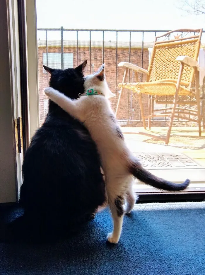 This Is My "Big Bro Steve"