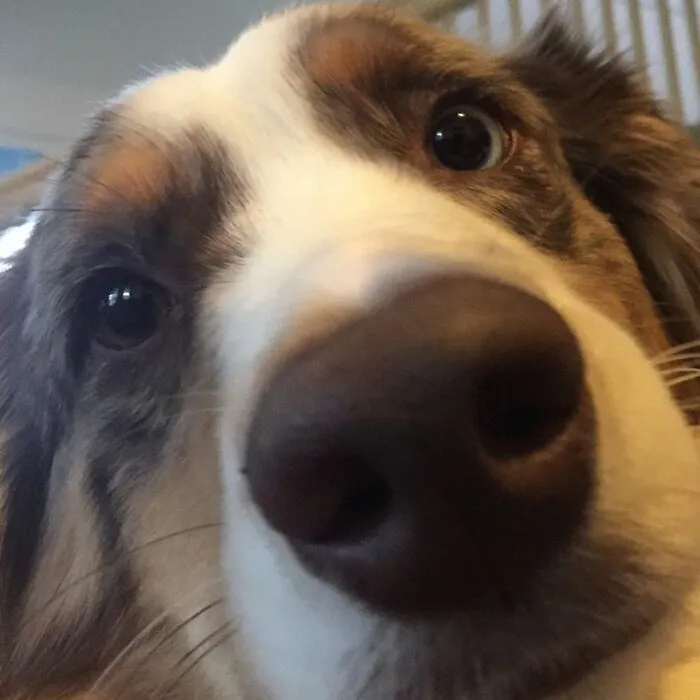Hi Mom! I'm Here