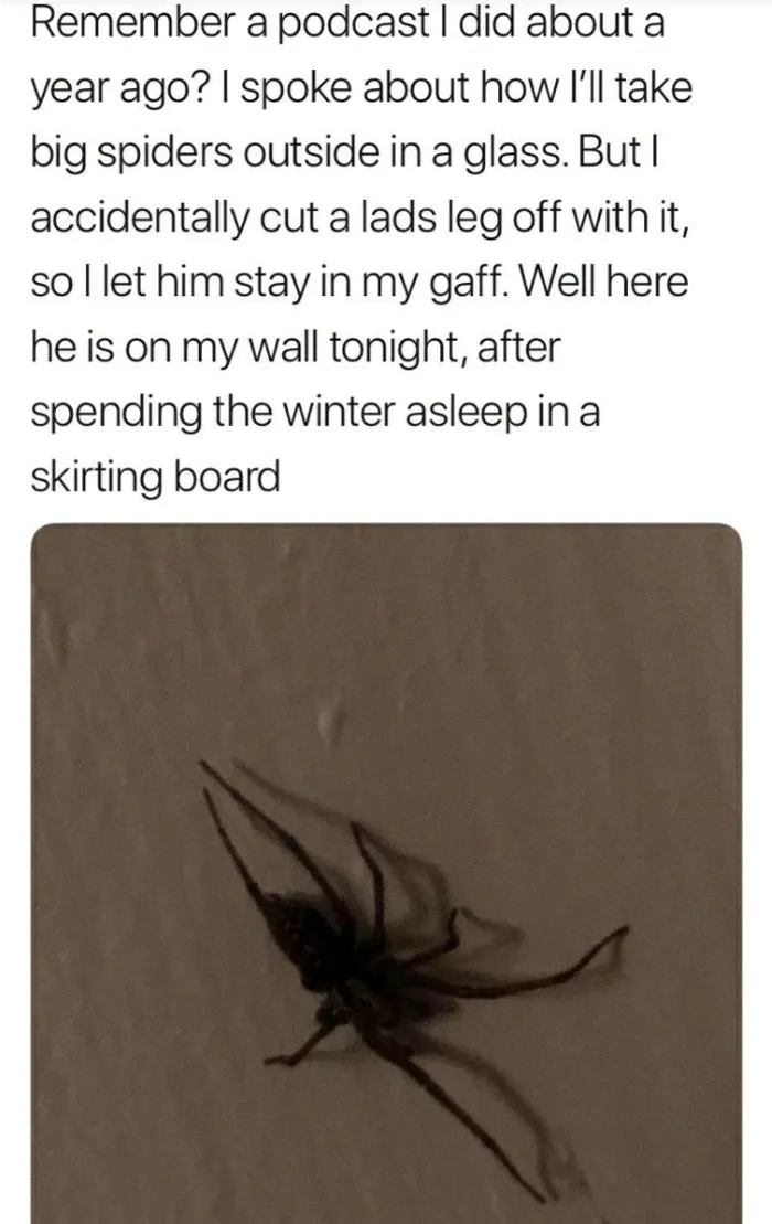Uhhhhh