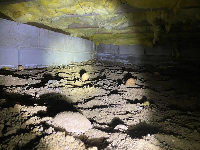 30 Engineering ‘Nightmares’ And ‘Miracles’ Discovered During Structural Inspections By This Company (New Pics)