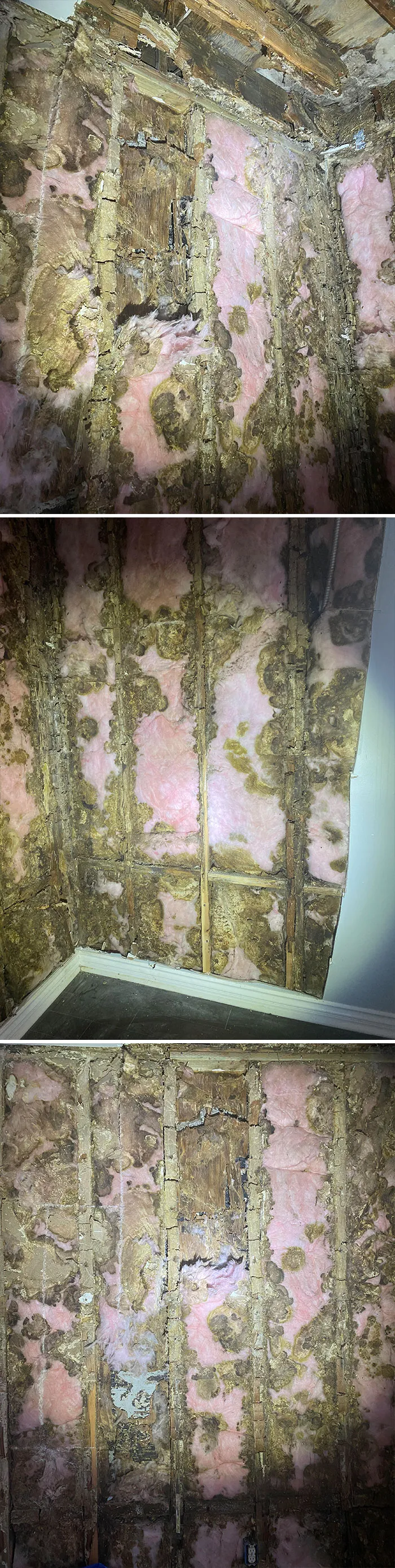 30 Engineering ‘Nightmares’ And ‘Miracles’ Discovered During Structural Inspections By This Company (New Pics)