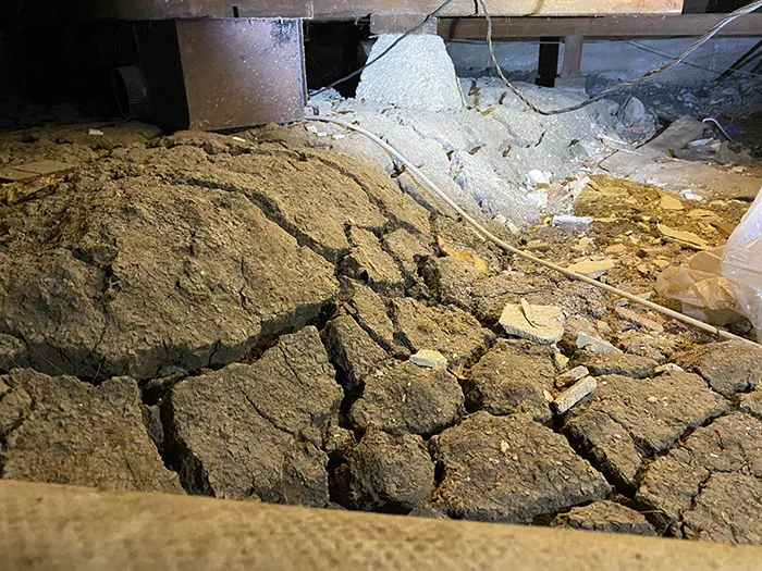 20 "Pesadillas" y "milagros" de ingeniería descubiertos durante las inspecciones estructurales de esta empresa (nuevas fotos)