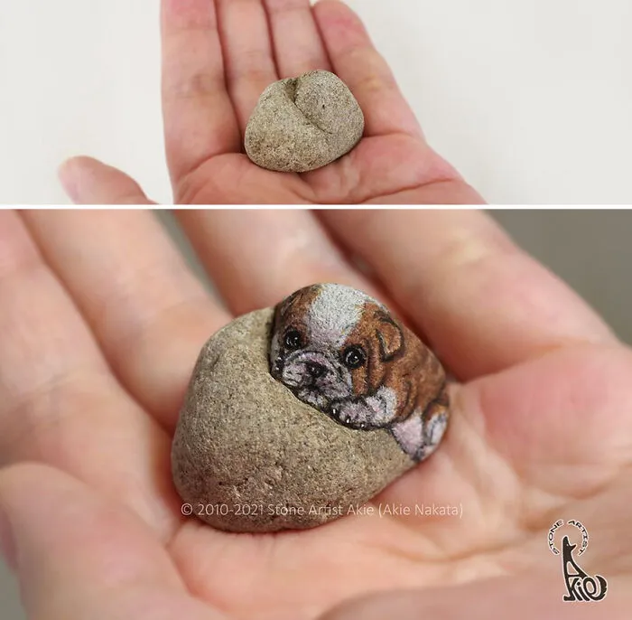 Japanese Artist Turns Blunt Stones Into Adorable Animals (70 New Pics)