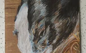 Hey Pandas, Draw A Picture Of Your Pet (Closed)