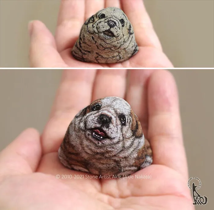 Japanese Artist Turns Blunt Stones Into Adorable Animals (70 New Pics)