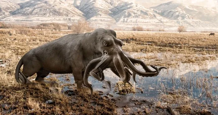 Designers Combined Animals Together And Some Of Them Are So Bad They’re Funny (30 Pic)
