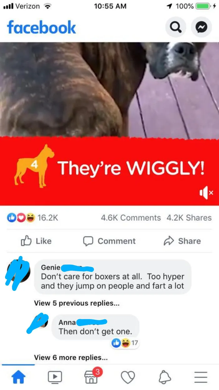 Ok, Genie