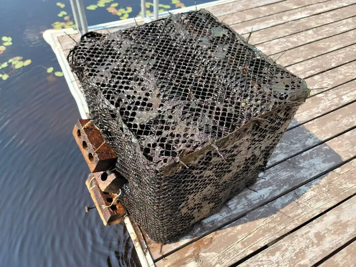 Acabo de comprar una casa en el lago y encontré tres de estos en el agua al lado del muelle. Una pila cruzada de tuberías rugosas envueltas en una red de plástico, todo en el fondo con ladrillos