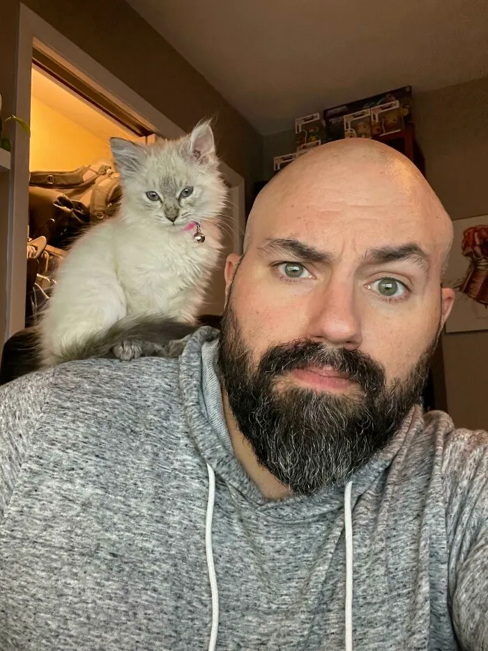 Pensé que mi mujer iba a adoptar a un gatito, no a un loro peludo y prejuicioso