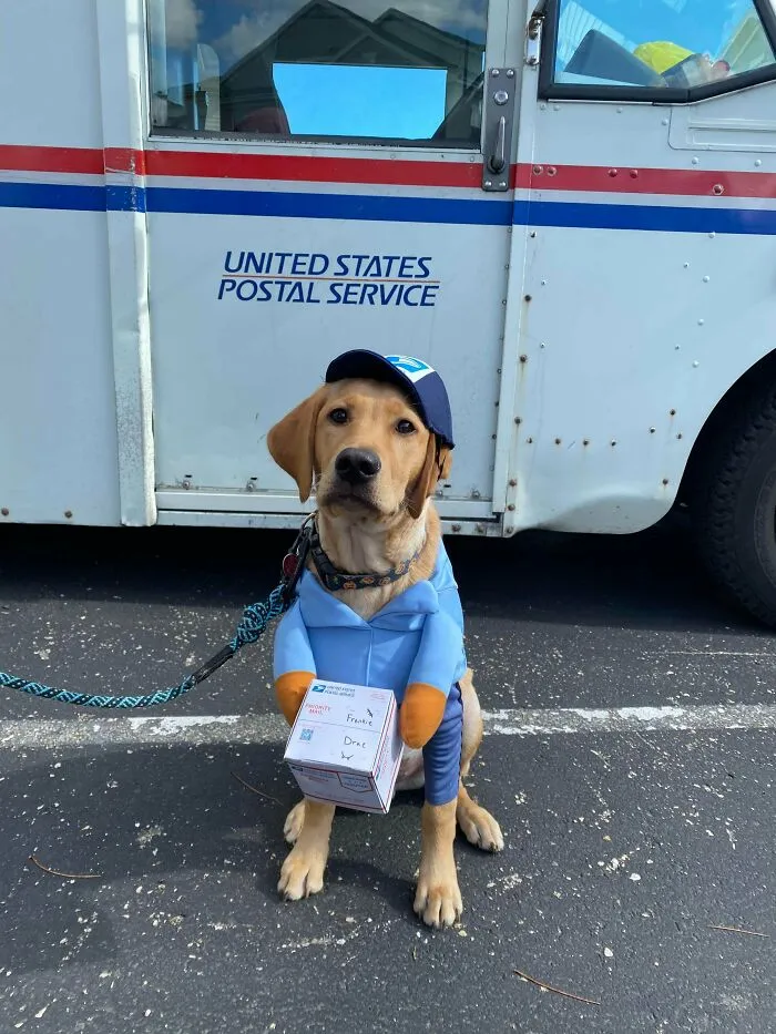 Happy Halloween Hoomans! Here’s Your Mail