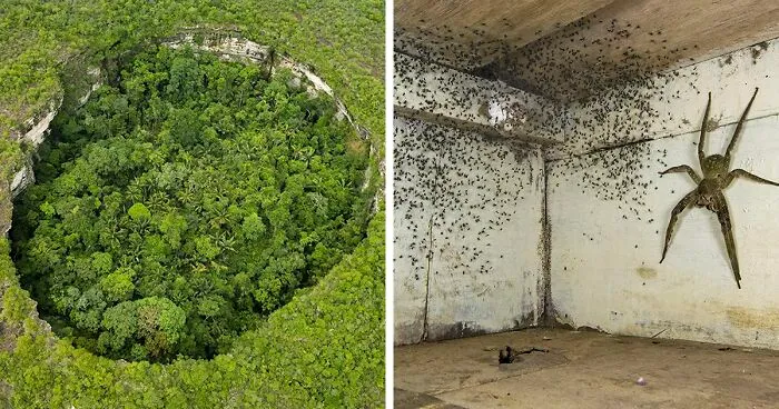 30 Stunning Winners From The 2021 Wildlife Photographer Of The Year That Have Just Been Announced