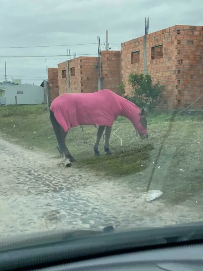 Cold Weather In Brazil Be Like