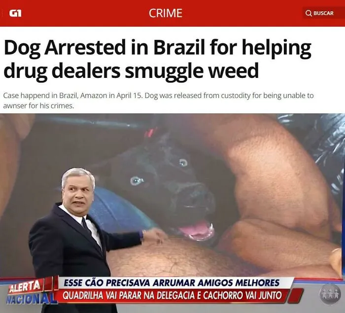 A Normal Day In Amazonas