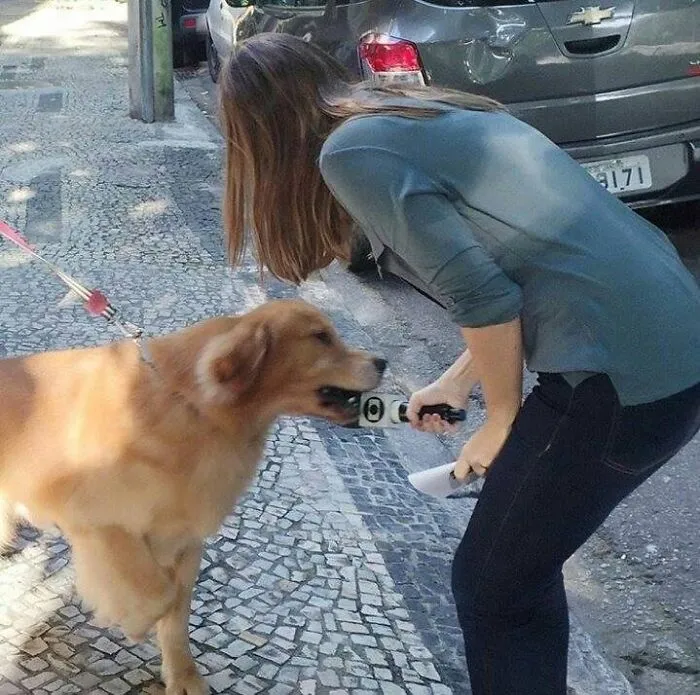 Reportera entrevistando a un perro