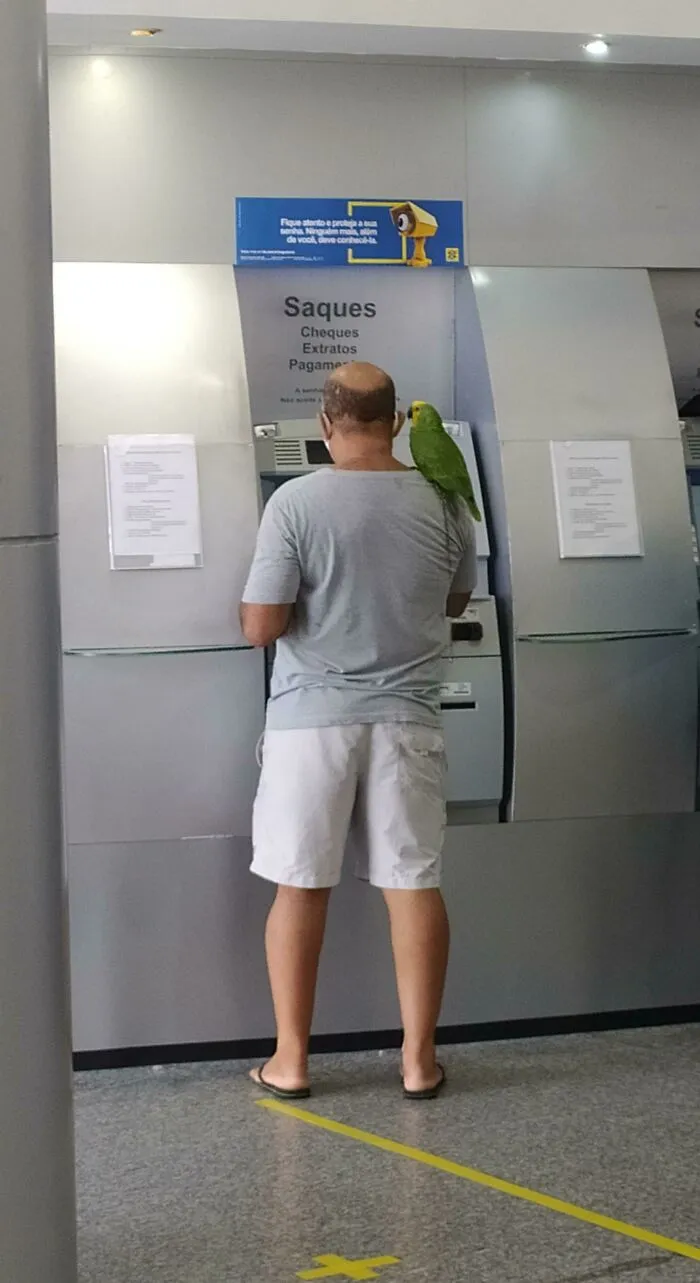 El mejor amigo del hombre… siempre estará a tu lado