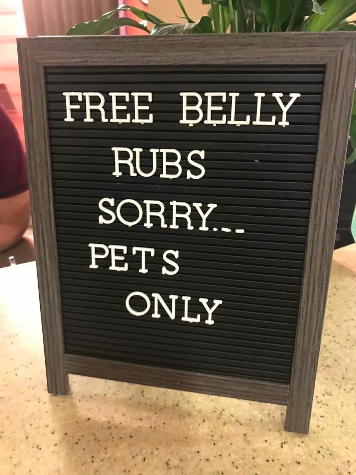 At My Local Vet's Office
