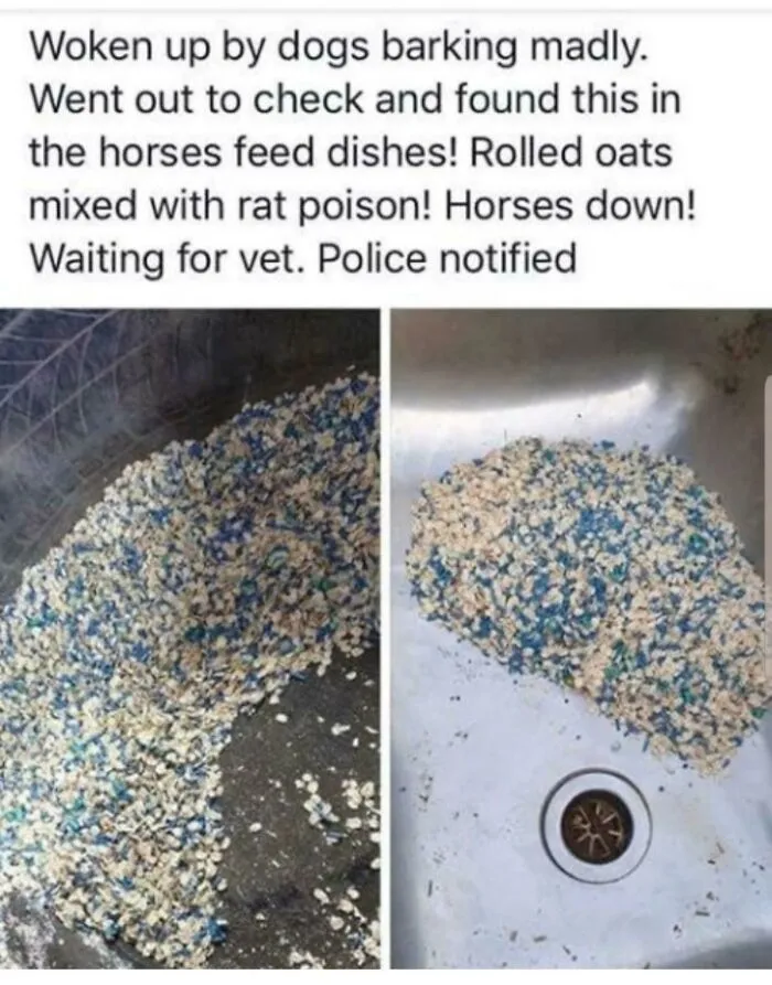 The Person Who Did This