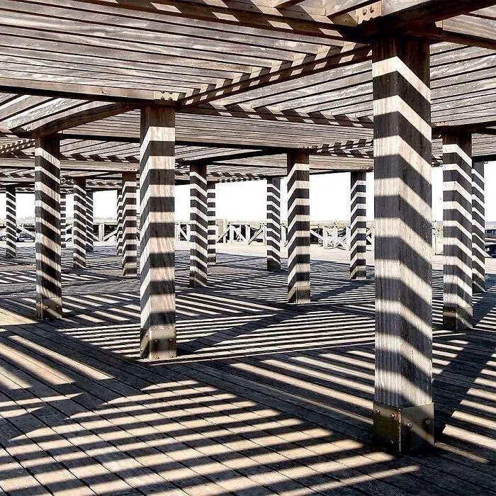 Shadow