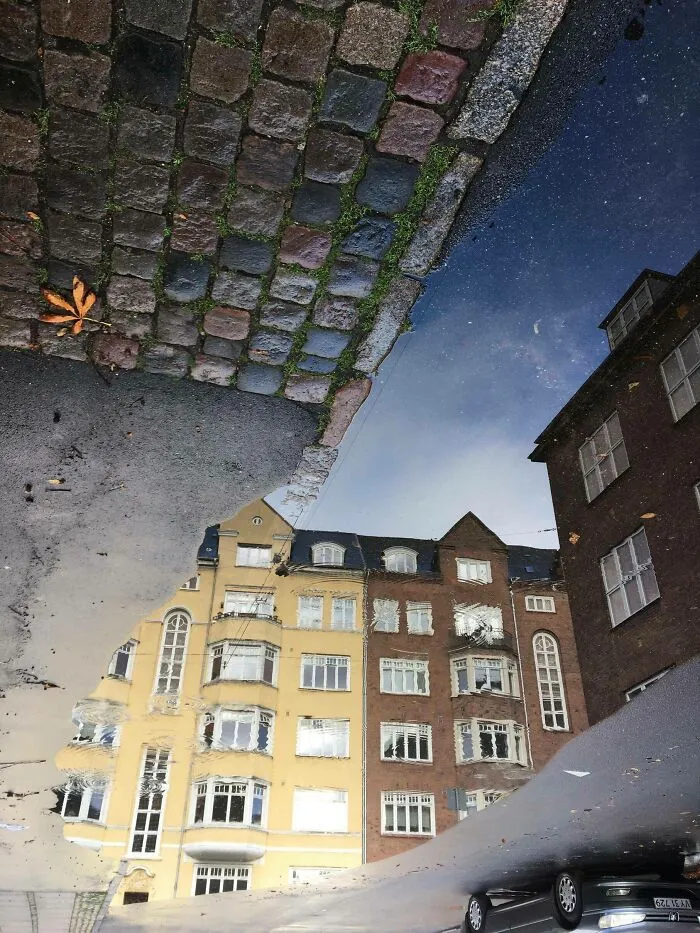 Reflections