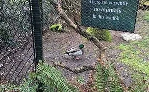 50 Times People Accidentally Noticed Surreal Things In Real Life, So They Shared It On This Online Group
