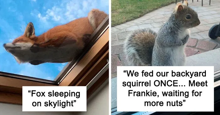 50 Times People Spotted The Cutest Animals And Just Had To Take A Pic Of Them