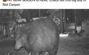50 Times People Spotted 'Absolute Units' And Shared Them In This Online Community (New Pics)