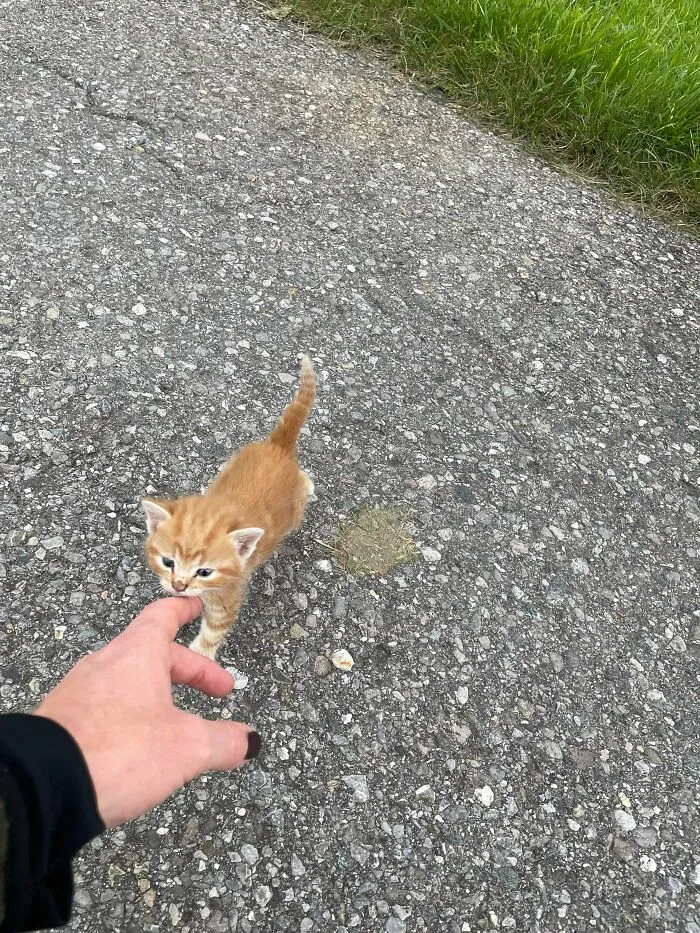 Salí de caza, pero volví con Frank a mi hogar