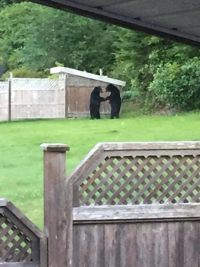 What They Got Going On Over There ?