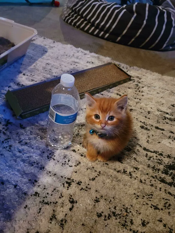 ¡Saluden a Butters!