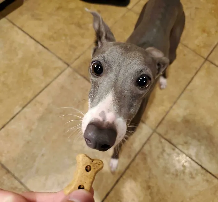 Jax