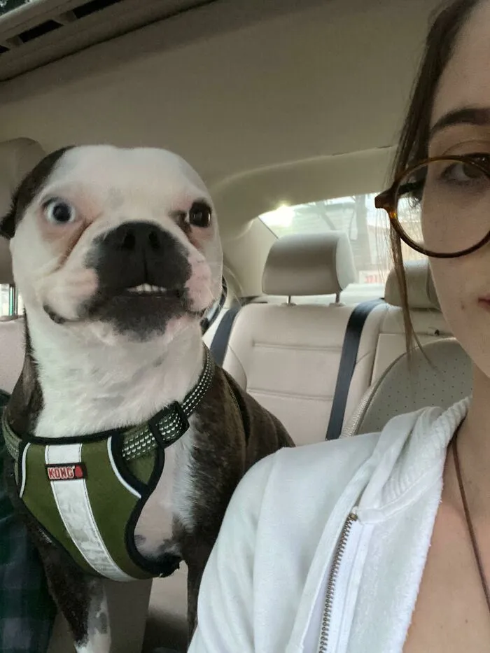 Oliver