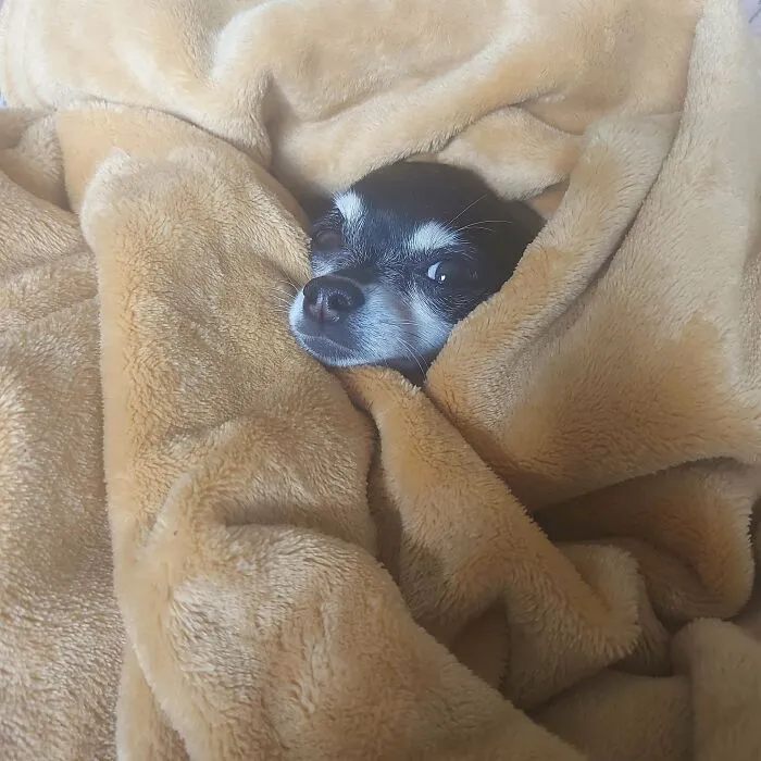 She's *officially* Mine Now. My Twelve Year Old Newly Adopted Lady
