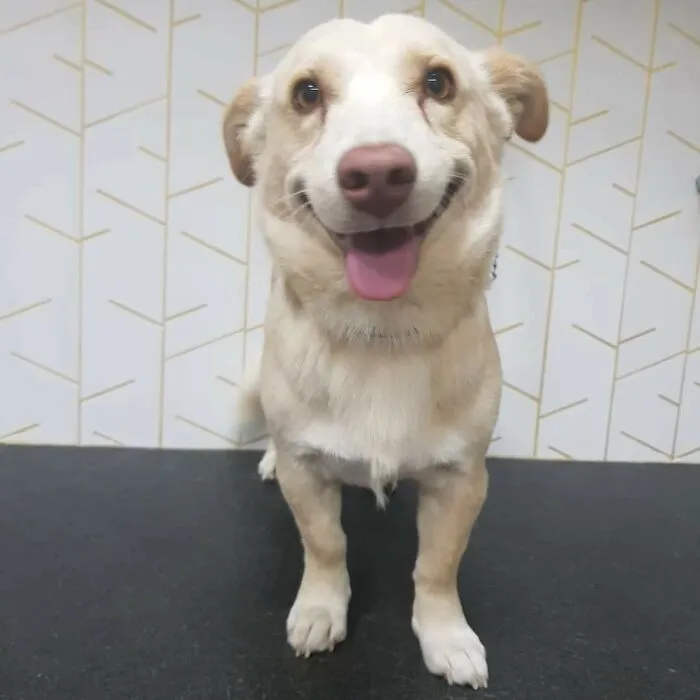Happy To Be Adopted