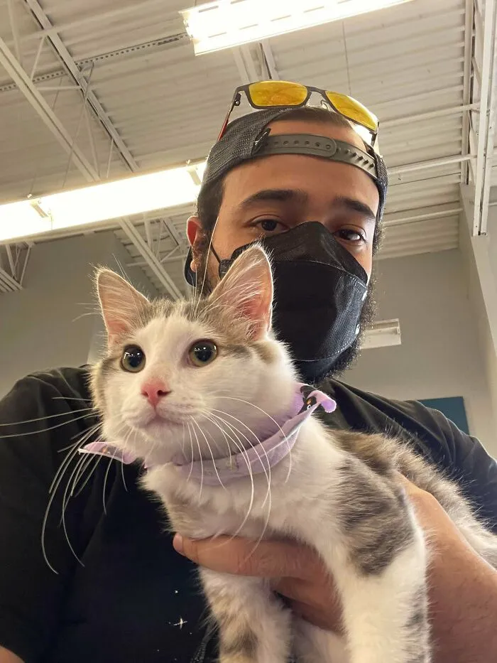 Help Me Name This Handsome Boi (Currently In The Process Of Adopting Him); So Far I Was Thinking Gandalf [because White And Gray]