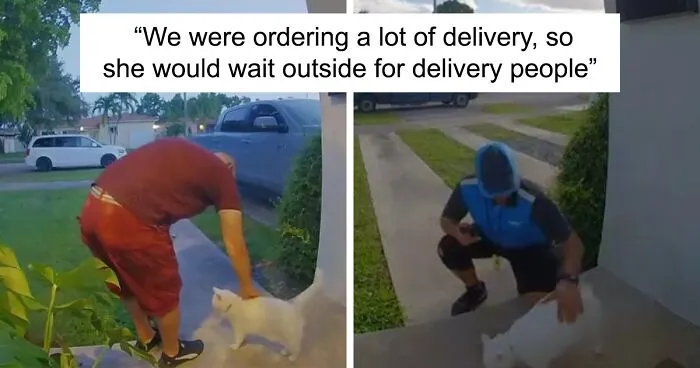 Meet Tuna, A Cat Who Befriends Delivery Men And Her Owner Posts About It On Instagram