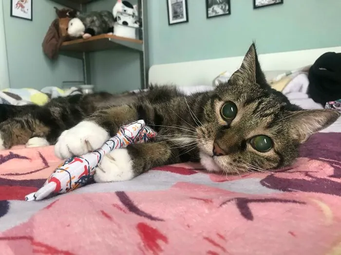 Mi cieguito mostrando sus manoplas asesinas… pero solo un poco