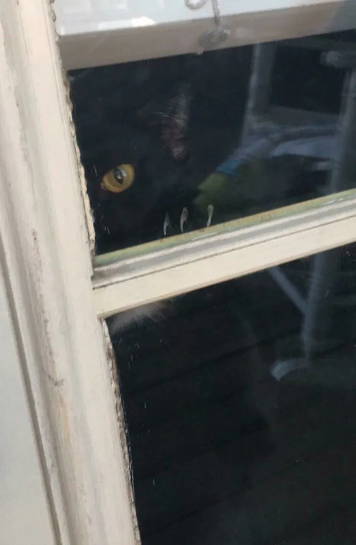 He Sees You When You’re Sleeping. He Knows When You’re Awake