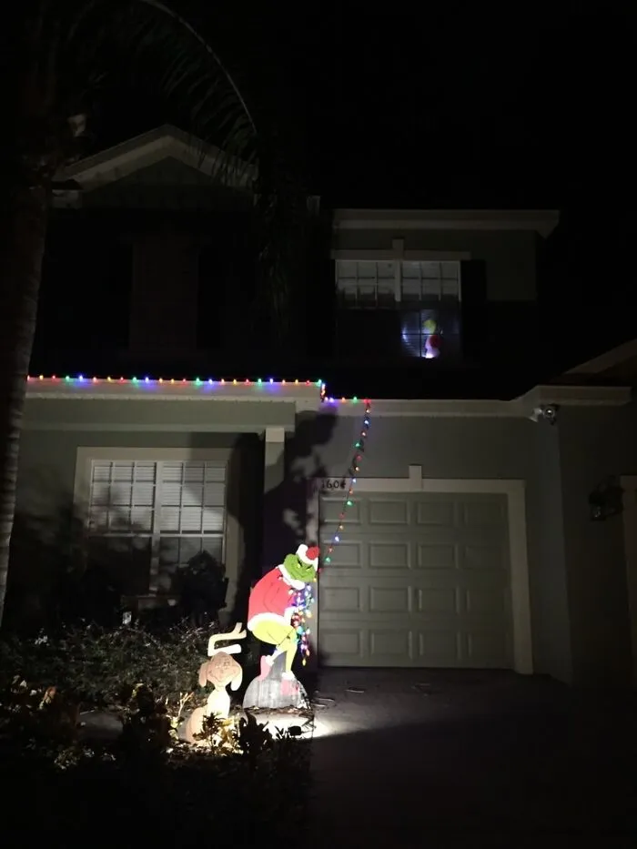 I Got Inspired To Be Lazy And Not Put Up All My Christmas Lights