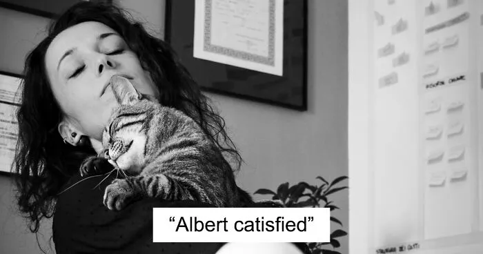 Catisfaction: I Captured These 34 Beautiful Moments Of Happy Cats (New Pics)
